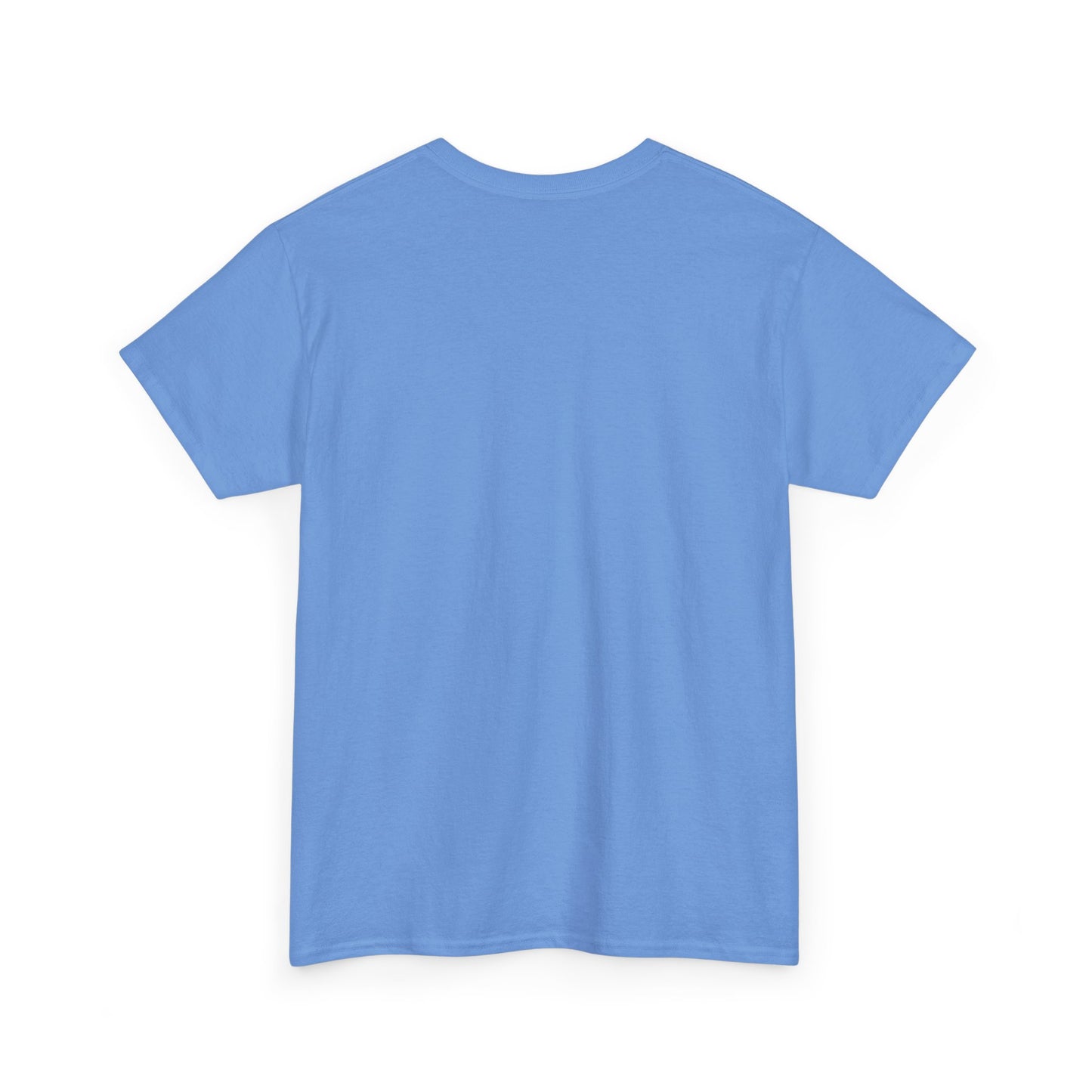 Plain light blue t-shirt on a white background