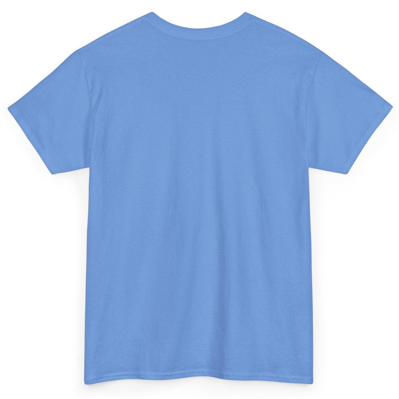 Plain light blue t-shirt on a white background