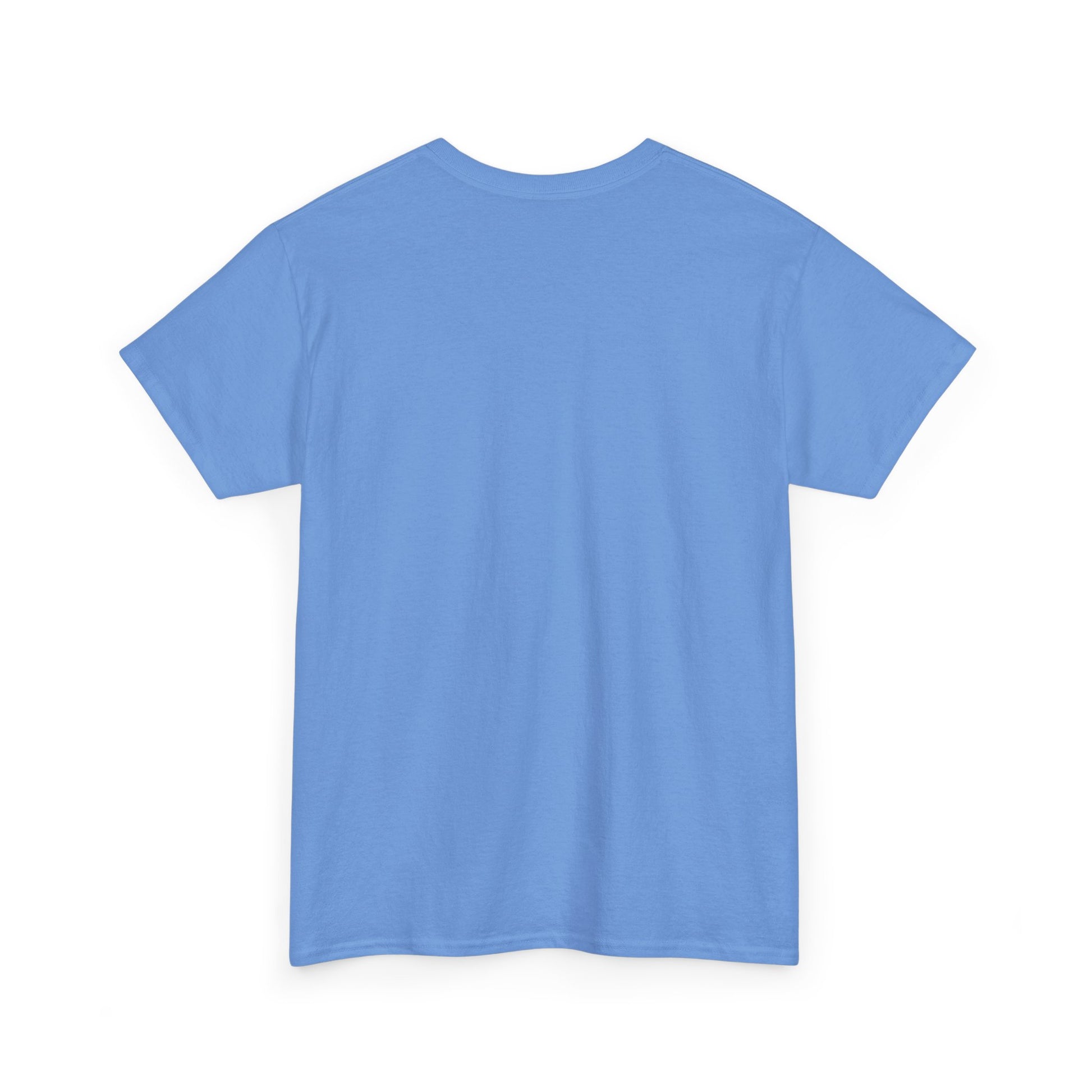 Plain light blue t-shirt on a white background