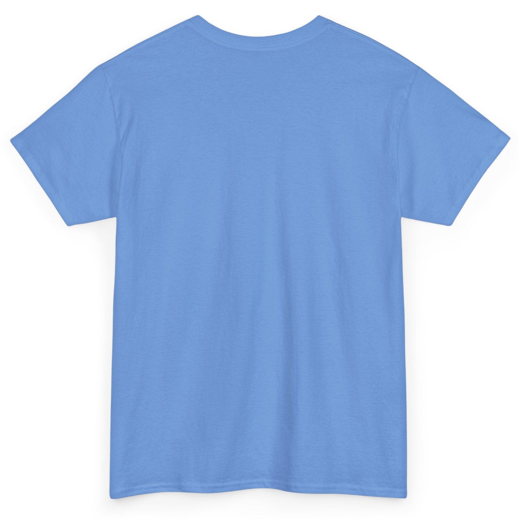 Plain light blue t-shirt on a white background